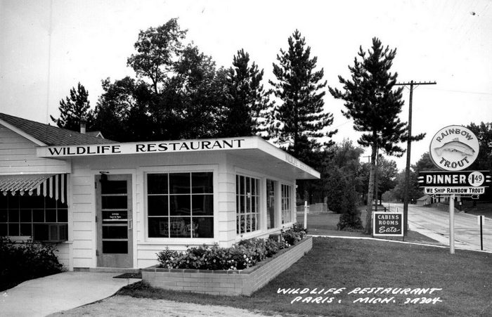 Wildlife Restaurant - Vintage Postcard